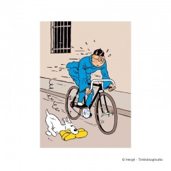 Chemise plastique A4 Tintin Lotus Vélo